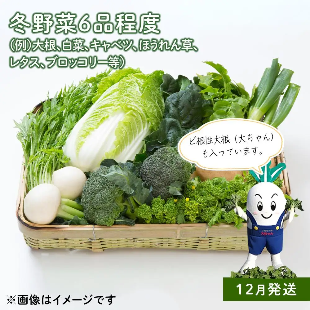 「ベジーズ館」の夏・冬野菜　年２回コース （7月と12月発送）｜【野菜定期便・野菜・定期便・冬野菜・夏野菜・野菜セット・旬の野菜・兵庫野菜・相生野菜・国産野菜・野菜詰め合わせ・冬野菜詰め合わせ・夏野菜詰め合わせ】