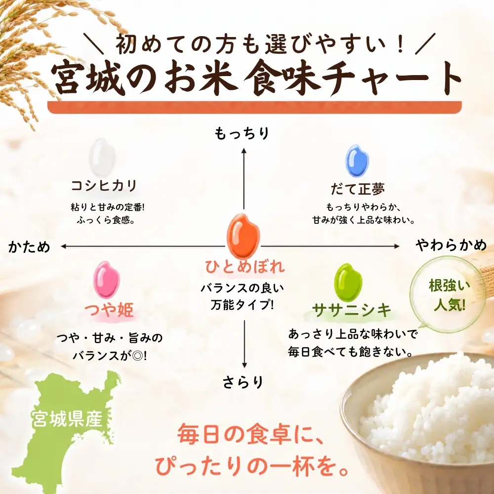 【先行予約】【新米】【令和8年10月中旬～下旬順次発送】 つや姫 精米 10kg 令和8年  宮城県産  H つや姫