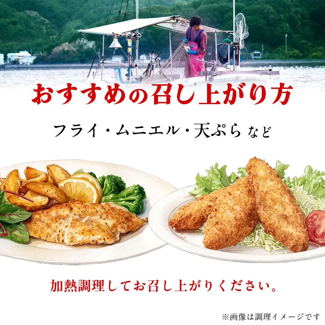 瀬戸内海産 小鯛のフィレ 3枚～5枚程度×1P 冷凍配送 [OK39_008]