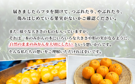 先行予約 ＜無茶々園のポンカン 約3kg＞ 果物 くだもの フルーツ ぽんかん みかん 蜜柑 柑橘類 かんきつ 旬 甘い 濃厚 新鮮 期間限定 季節限定 産地直送 特産品 愛媛県 西予市 【常温】『2027年1月～2月中旬に順次出荷予定』AMC0004