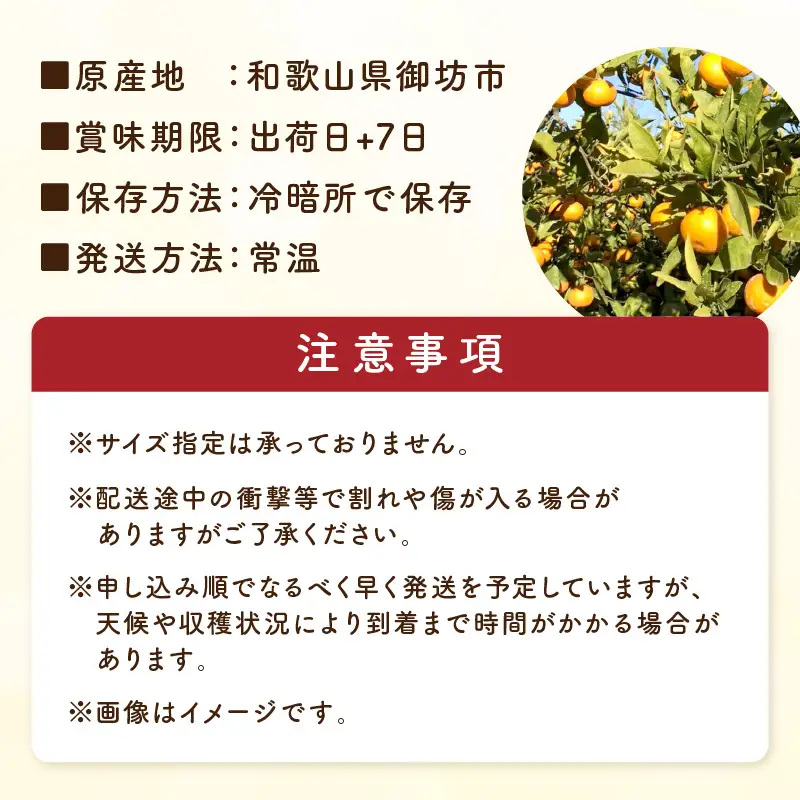 天田みかん（紀州和歌山） A級5kg【1272】