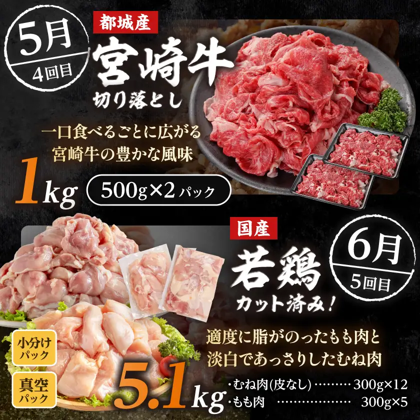 【☆セレクト定期便☆】お肉満足定期便(5ヶ月)≪2027年お届け≫〔T66E-5-S006〕_(都城市) 宮崎県 若鶏 モモ ムネ カット済 手羽 ささみ 炭火焼 豚肉 牛肉 小間切れ 切り落とし