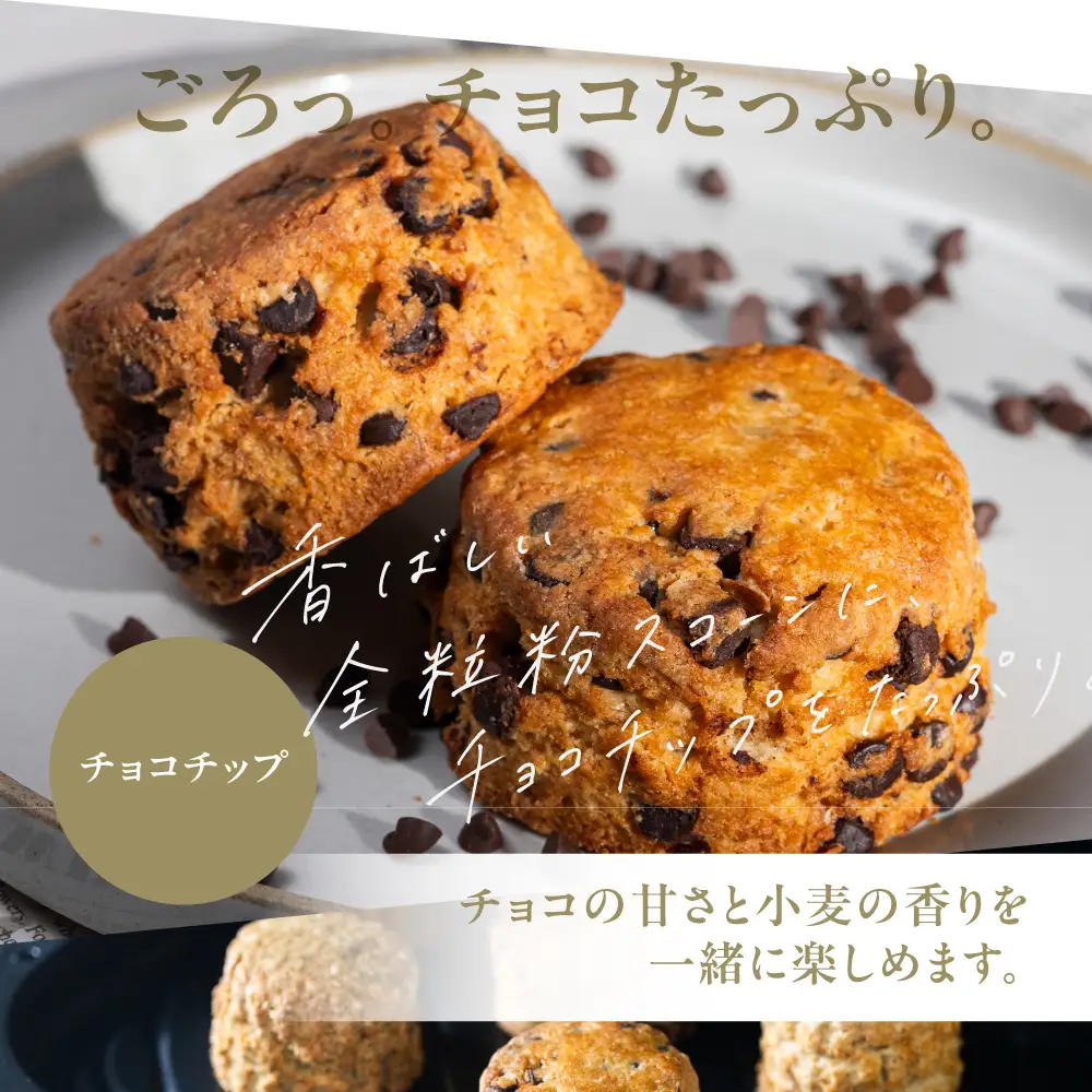 スコーン チョコチップ 6個｜スコーン