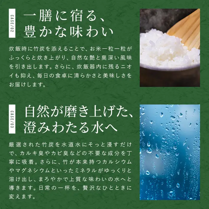 竹炭 出水の自然が育てた 竹炭 100g 調湿 消臭 【シンタク】 i1357