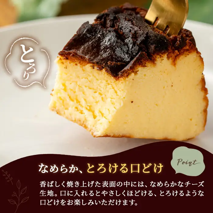 バスクチーズケーキ 米粉 450g | バスク