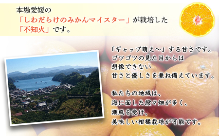 愛媛県明浜産 不知火（3kg） ATI0008