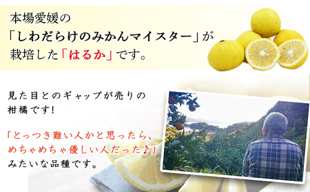 ＜愛媛西予市産 はるか 家庭用 約4kg＞ 柑橘 果物 フルーツ ミカン みかん オレンジ 特産品 渡江から一歩を踏み出す会 食べて応援 特産品 愛媛県 西予市 【常温】『2026年1月下旬～4月上旬迄に順次出荷予定』ATI0012