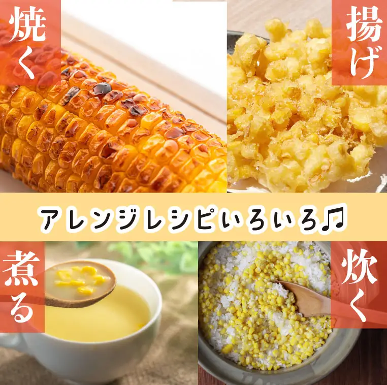 【とうもろこし 5本 】11月発送  ドルチェドリーム  静岡 県 牧之原市 t.p.C farm 堀内農園 