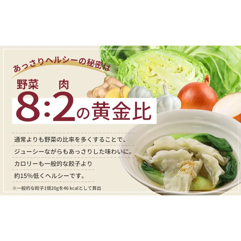 【定期便3回】浜松餃子 120個 (20個×6袋) セット 詰め合わせ 餃子のたれ 小袋 知久屋 国産 ぎょうざ 餃子 ギョーザ 冷凍餃子 冷凍ギョーザ 工場直送 ヘルシー あっさり 惣菜 中華 点心 静岡 浜松市 【配送不可：離島】