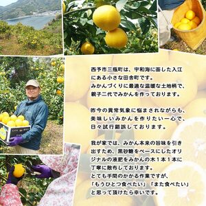 黒田農園直送 西宇和産温州みかんジュース4本セット MKN0007