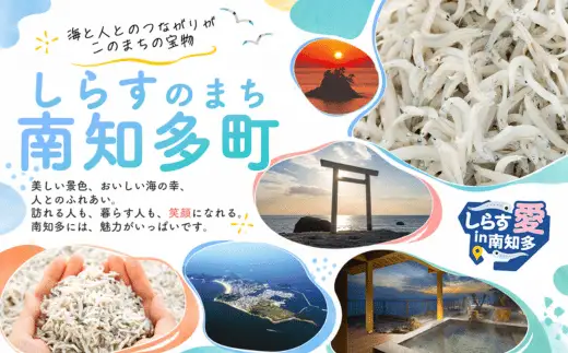 桜えび煎餅詰合せ 自家製 せんべい 愛知 南知多 海老 えびせんべい 煎餅 人気 おすすめ えびせんべい 海老煎餅 海老せんべい エビ煎餅 えび煎餅 エビせんべい 魚介 海鮮 お菓子 海老 えび エビ おやつ えびせん えびせんべい 海老せんべい せんべい ギフト おすすめ 人気 ふるさと納税えびせんべい 愛知県南知多町