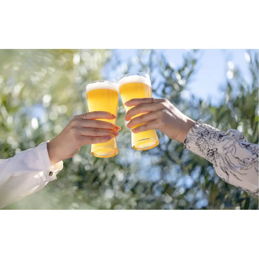 クラフトビール　キウイ（oeuf)３本セット