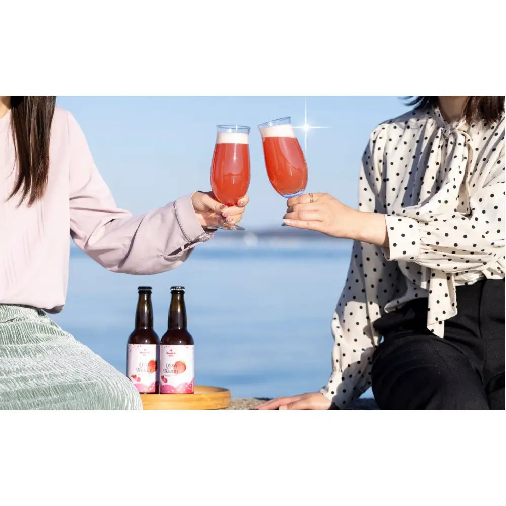 クラフトビール　LUSH BERRY３本セット