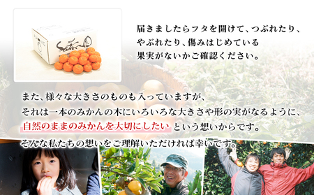 ＜無茶々園 温州みかん 約7kg＞ 【先行予約】果物 くだもの ミカン 蜜柑 柑橘 フルーツ うんしゅうみかん 選べる内容量 贈り物 ギフト おいしい 期間限定 季節限定 食べて応援 特産品 愛媛県 西予市 【常温】『2026年11月～12月に順次出荷予定』AMC0018