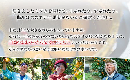 先行予約 ＜無茶々園の伊予柑 約7kg＞ 果物 いよかん イヨカン みかん ミカン 蜜柑 柑橘 フルーツ 選べる内容量 期間限定 季節限定 特産品 愛媛県 西予市【常温】『2027年1月中旬～2月中旬に順次出荷予定』AMC0019
