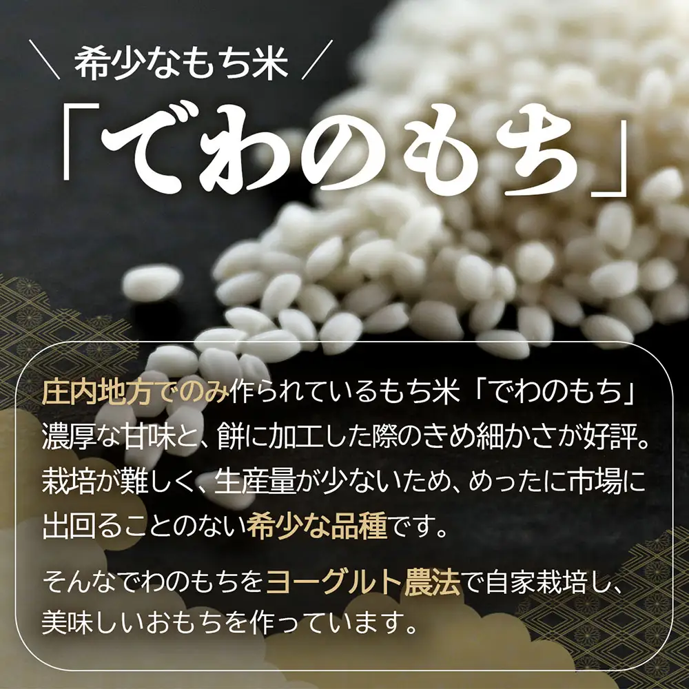 【R8.12月発送】庄内町産 杵つき餅 380g×36袋 約13kg『特別栽培米 でわのもち』使用 先行受付 柔らかく よく伸びる 個包装 小さめ 自家栽培 でわのもち ヨーグルト農法 杵つき 丸もち お餅 丸餅 餅 梅木もち屋