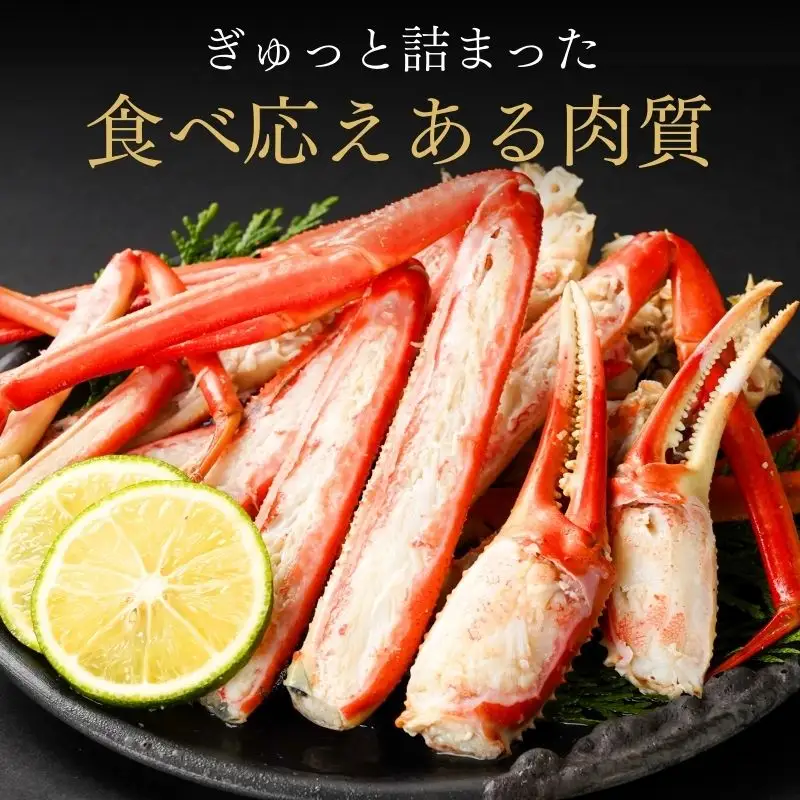【訳あり・先行予約】本ズワイガニ 3～5杯 計1.5㎏以上 姿 糸魚川産 浜茹で 鮮度が命！茹でたて直送 日本海 磯貝鮮魚店 ずわいがに かに 蟹 新潟 新鮮 ボイル 茹でガニ カニ かに 新潟県 糸魚川市 訳アリ 蟹 カニ