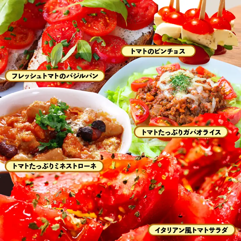 【2026年10月発送】フルーツミディトマト 2kg（1kg×2箱）トマト 野菜  [m37-a025_10]