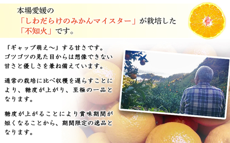 愛媛県明浜産 不知火【完熟】（4.0kg） ATI0023