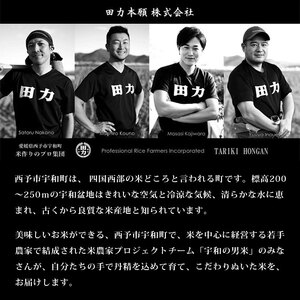 ＜令和7年産 田力米 10kg コシヒカリ＞お米 こめ コメ 白米 精米 こしひかり ご飯 ごはん 特産品 産地直送 田力本願 愛媛県 西予市【常温】『2025年9月下旬より順次出荷予定』UTH0007