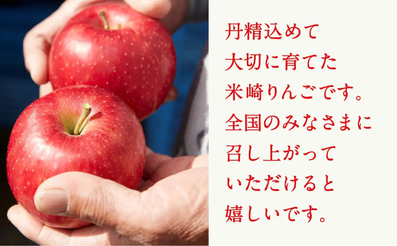 りんご 紅いわて 約2.5kg 果物 米崎りんご マルキヨファーム