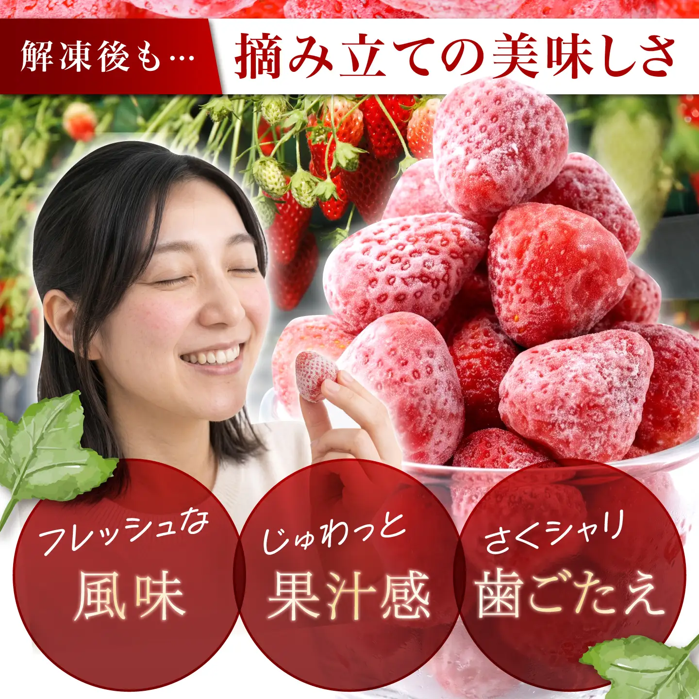 瞬間冷凍いちご [TCI005] いちご