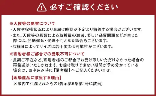 熊本県産 肥後グリーンメロン 2玉  メロン くだもの 果物 フルーツ 【2027年5月上旬から6月下旬発送予定】