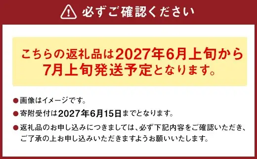 熊本県産 スイートコーン ミルキースイーツ 約5kg とうもろこし やさい 野菜 トウモロコシ【2027年6月上旬から7月上旬発送予定】