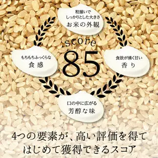 令和8年度　新米 富山県ブランド米 富富富 精米 5kg ふふふ ブランド米 国産 米 お米 日本米 ギフト 贈り物 備蓄 防災 食品 陽咲玲 はるざれ F6T-1049