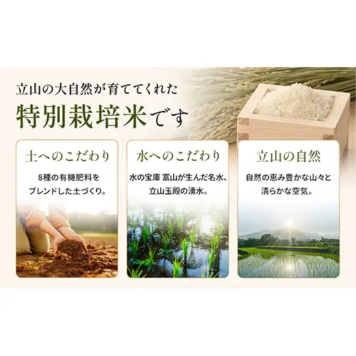 令和8年度　新米【6回定期】特別栽培米 コシヒカリ ヒロシノキモチ 玄米 5kg 総計30kg 陽咲玲 米 お米 コメ ご飯 ごはん 富山県産 富山県 立山町 F6T-1044