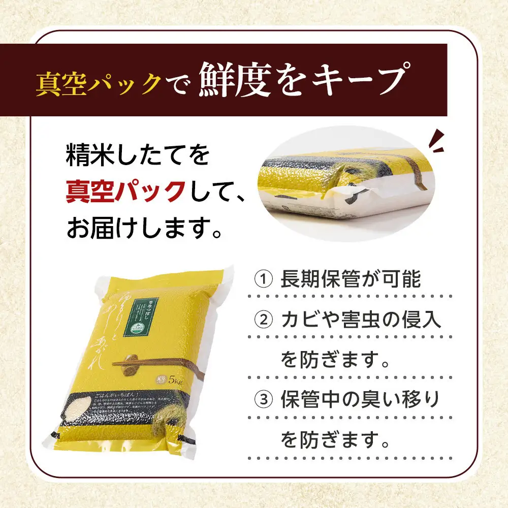 令和8年産 品種おまかせ 無洗米 真空パック 5kg×2袋（合計10kg）_06599