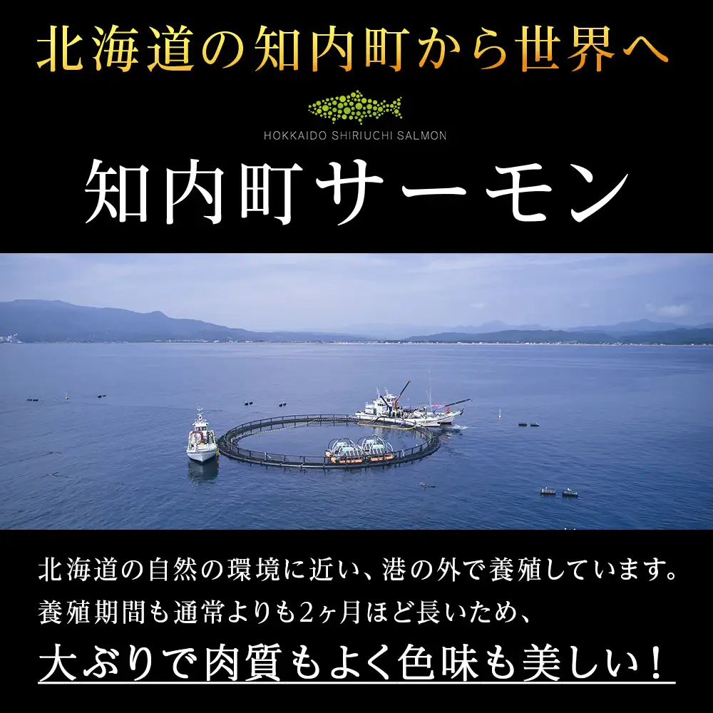 知内サーモンサーモンフィーレ 1kg ＜≪上磯郡漁業協同組合≫＞