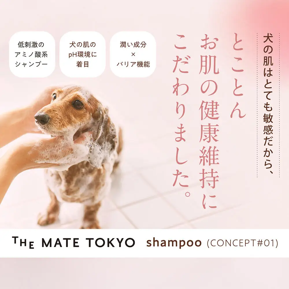 【獣医師トリマー監修】 The Mate Tokyo 犬用 スキンケアシャンプー（泡タイプ） 460ml＆シルクヘアパック （トリートメント） 175ml セット 低刺激 無添加 ダメージ補修 日本製 国産 全身用