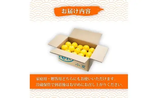 【2027年出荷分】 訳あり 熟成 露地小夏 5kg 5月中旬発送開始