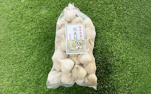 熊本県産 生にんにく 1kg【2026年10月下旬から2027年3月下旬発送予定】 にんにく ニンニク 生ニンニク 野菜 やさい 熊本県 常温