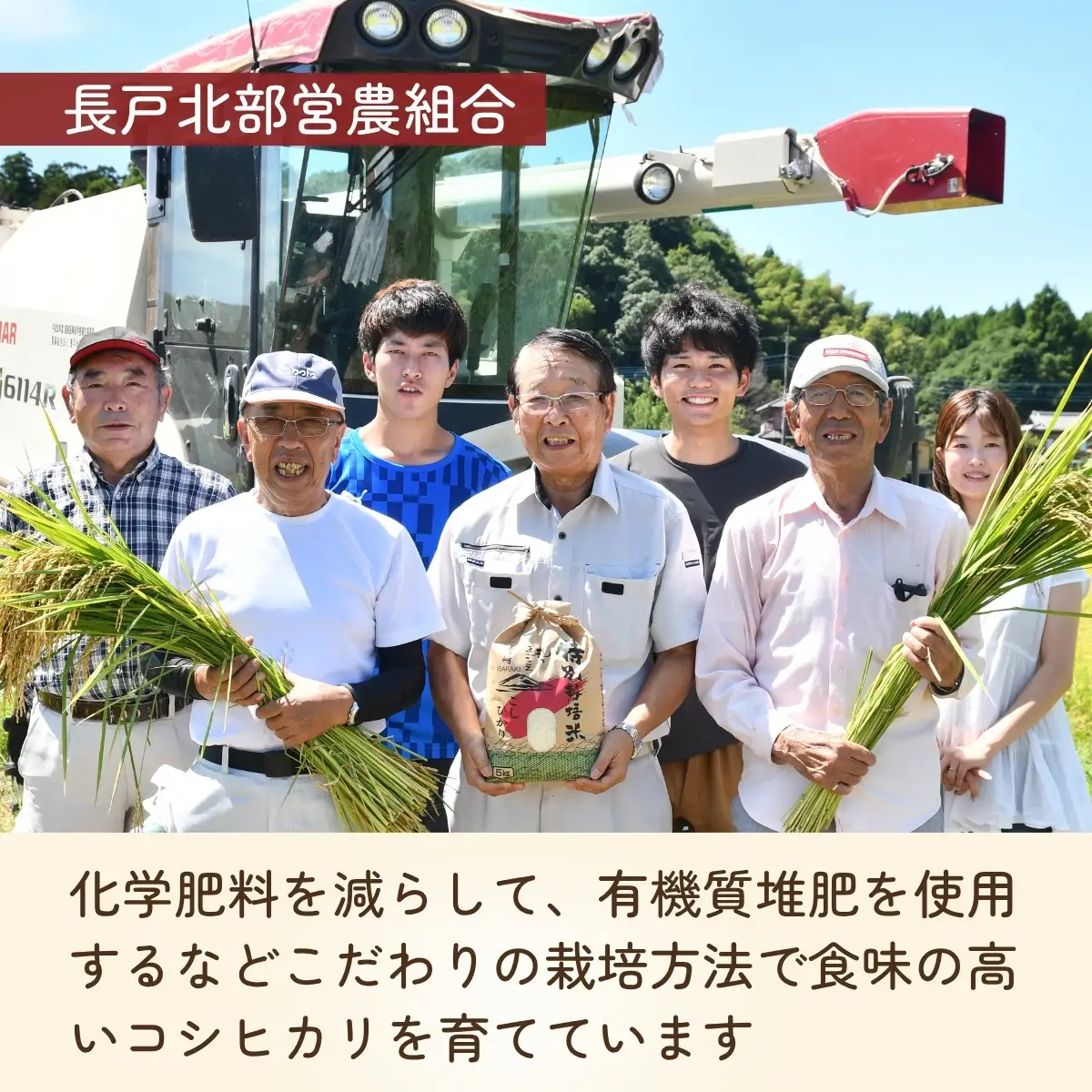 令和7年度 コシヒカリ 玄米 30kg 農家直送 | コシヒカリ 茨城県 龍ケ崎市 