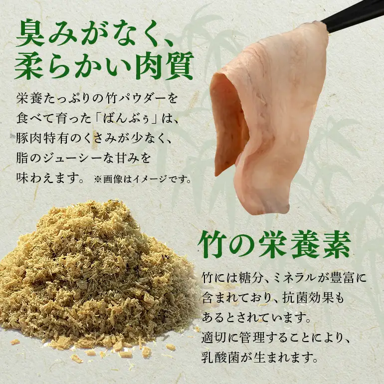 【定期便2ヶ月】ブランド豚「ばんぶぅ」ロースブロック1kg 42-BM