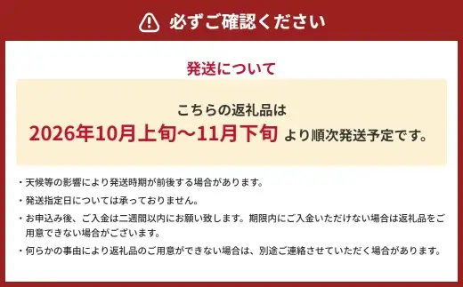 紅はるか さつまいも 約5kg サツマイモ いも イモ 芋 野菜 やさい 焼き芋 焼芋 焼きいも スイートポテト スイーツ 国産 熊本県産 【 2026年10月上旬～11月下旬発送予定 】
