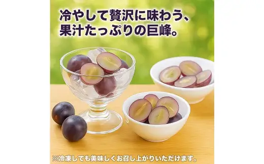 巨峰 ぶどう 4パック 約1.2kg ブドウ 葡萄 高級ぶどう 高級 ぶどうの王様 大粒 果物 くだもの フルーツ 果実 果汁 果肉 甘み ジューシー 旬の果物 国産 熊本県産 【 2027年7月下旬～2027年8月下旬順次発送予定 】