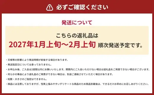 いちご 約1kg （ 250g × 4パック ） イチゴ 苺 果物 くだもの フルーツ 果実 果汁 果肉 国産 熊本県産 贈り物 冷蔵 【 2027年1月上旬～2月上旬発送予定 】