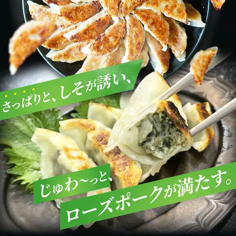 餃子 肉餃子 しそたっぷり肉餃子 ニラたっぷり肉餃子 各30個×2袋 ローズポーク ブランド豚 ぎょうざ 中華 そうざい 青しそ シソ にら 惣菜 時短 簡単調理 冷凍 【茨城県共通返礼品/行方市産】（96-08)