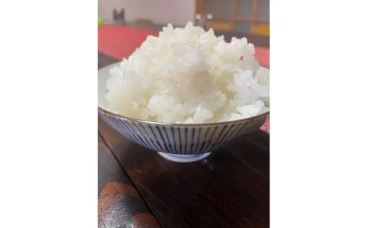D507 頑固な男のお米（コシヒカリ）玄米5kg