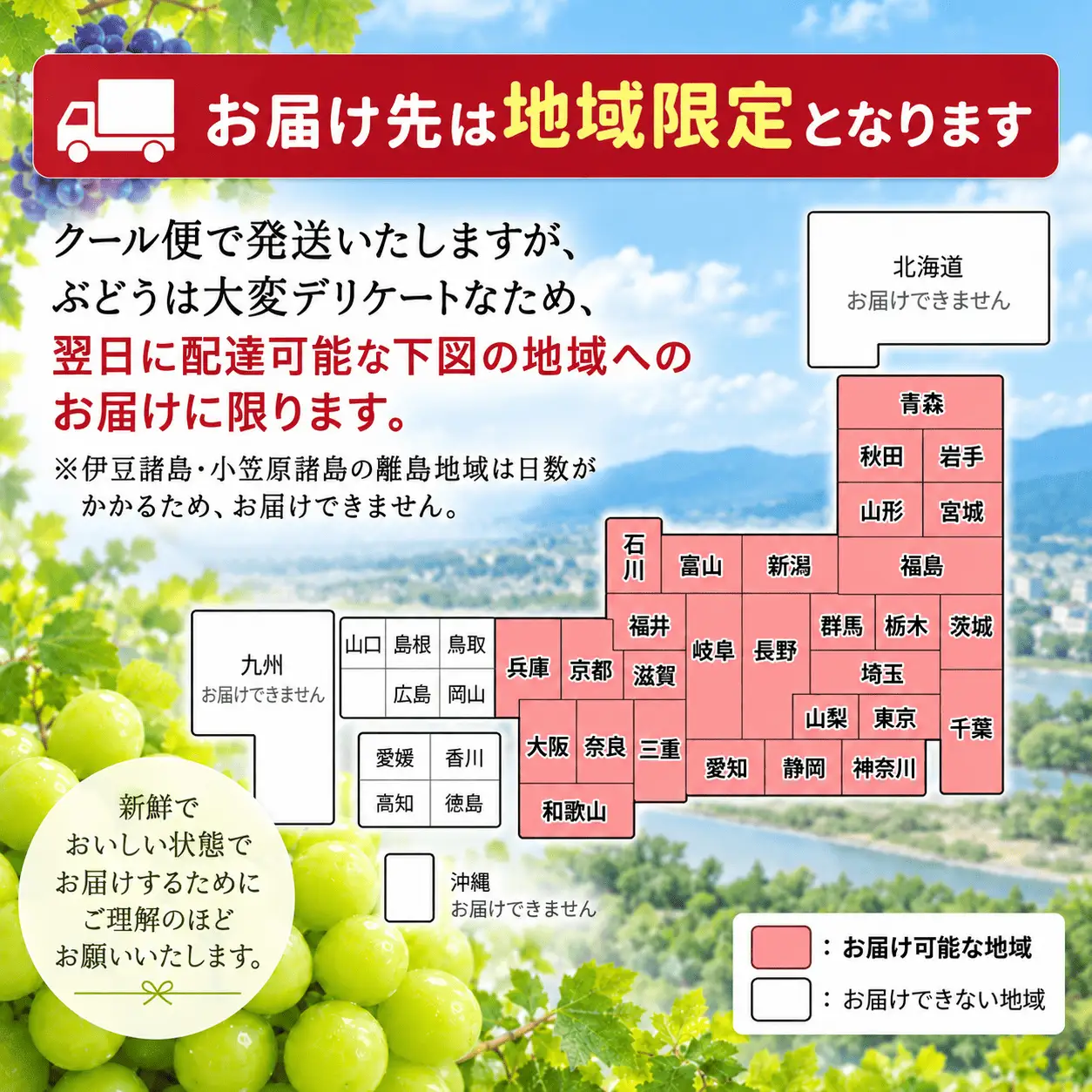 シャイン マスカット ぶどう   人気 果物 冷蔵 　3kg   大粒 高級 数量限定 期間限定 秋 旬