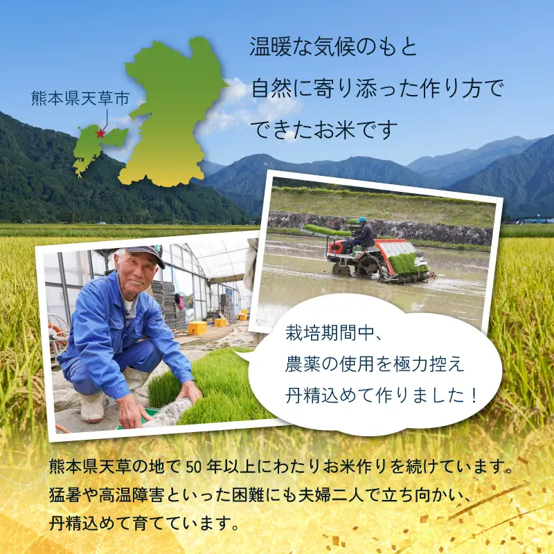 S050-007-R8_【令和8年産】コシヒカリ 精米 5kg