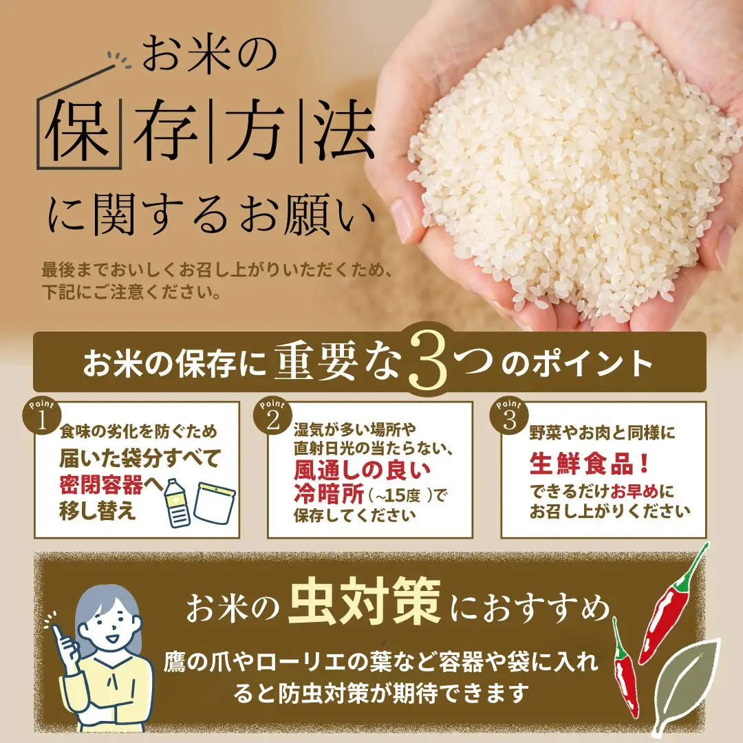 令和8年産】コシヒカリ 10kg 新米 一等米 農家直送 福島県 田村市