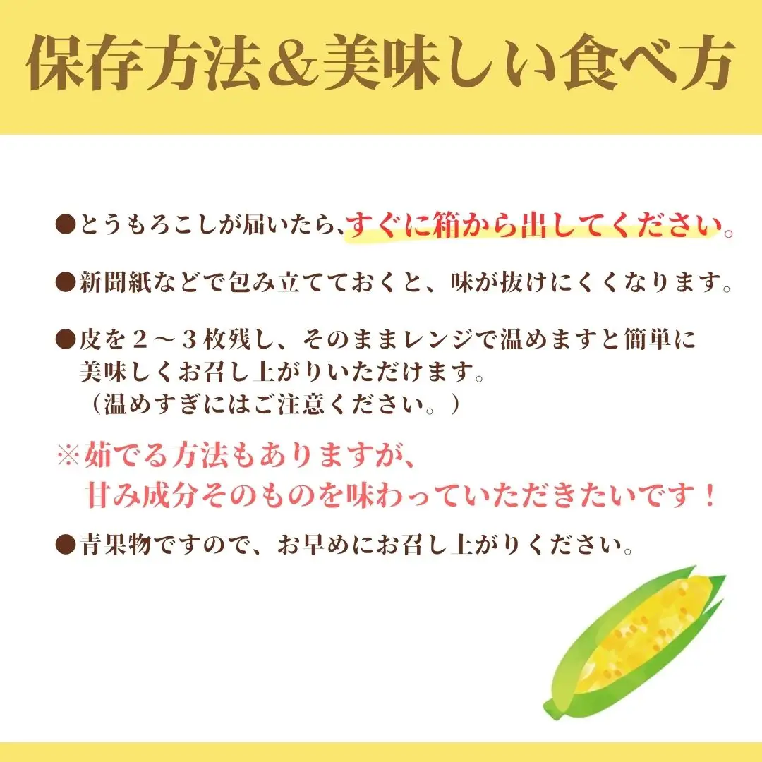 2027年6月発送　入手困難　甘々娘6本入り  REGALO [5839-2389]