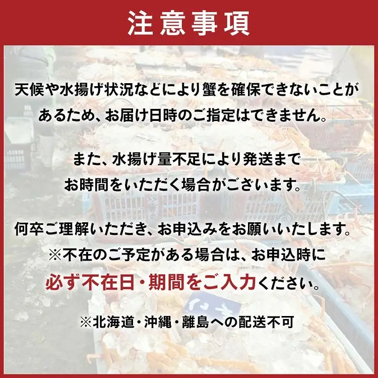 【冷凍】自社漁船直送！魚卸問屋の紅ズワイガニ 400g級×2ハイセット ※2026年9月～発送