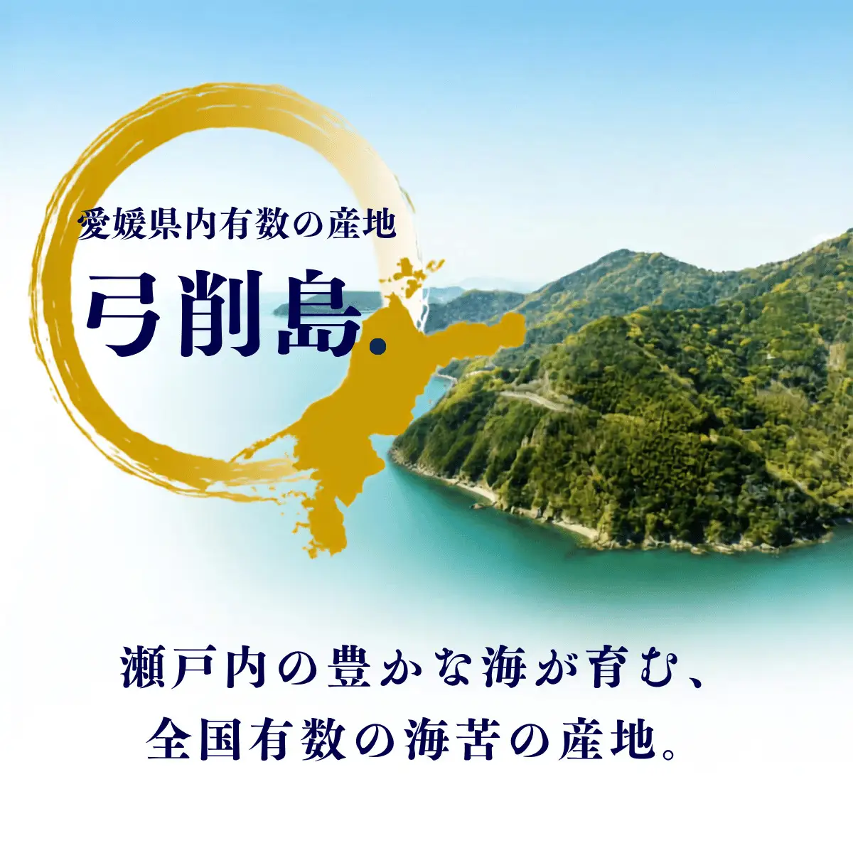 海苔 味付のり 8つ切 120枚×3パック 焼きのり 全形 10枚入 弓削島特産 詰め合わせ