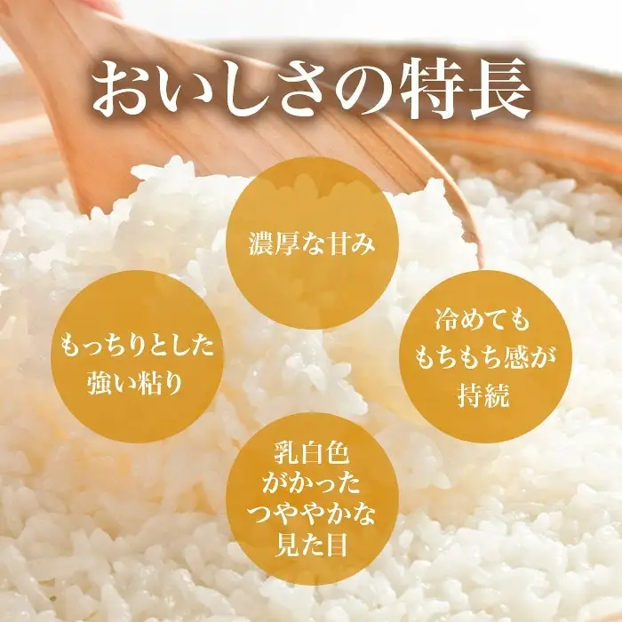 787 茨城県産 ミルキークイーン 10kg (5kg×2袋) 令和8年産 精米【米農家もろちゃん】