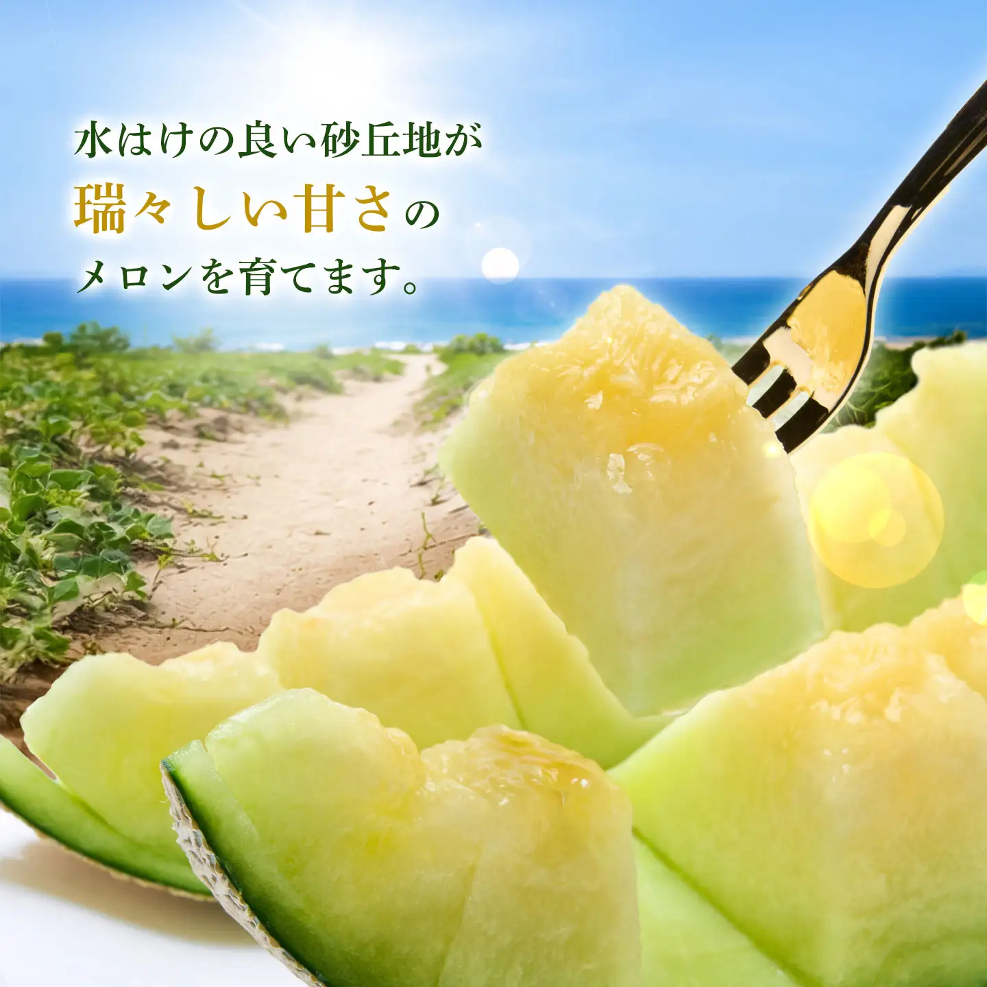 庄内砂丘アンデスメロン 4Lサイズ2玉(蔓あり) 令和9年産 K-935 菅原農園
